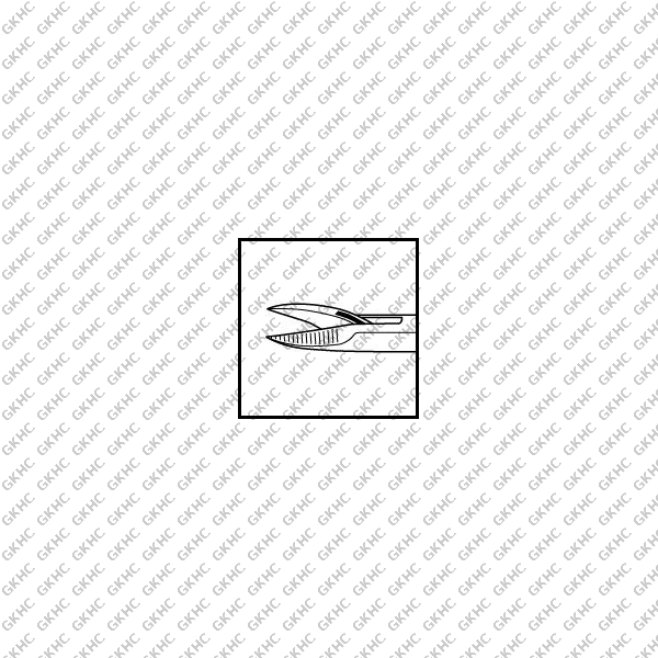 Intraocular Scissors (GKHC-25861)