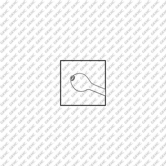 Welsh Cortex Extractor With Flat Olive Tip (GKHC-25932)