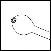 Welsh Cortex Extractor With Flat Olive Tip (E4414 WS)