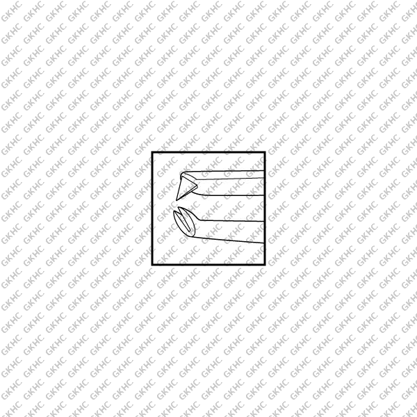 Elschnig Fixation Forceps Narrow (GKHC-25736)