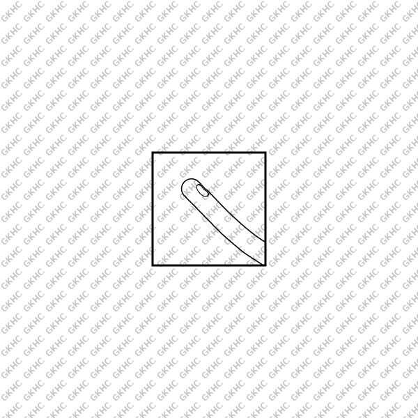 Dankner Panariello 12 OClock Cortex Cannula (GKHC-25925)