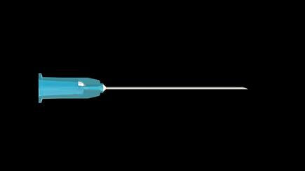 Anterior Chamber Needle 23 Gauge (M0638)