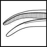 Halstead Curved Hemostatic Mosquito Forceps (E3922)