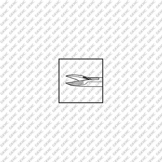 Intraocular Scissors (GKHC-25861)