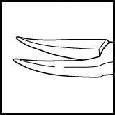 Nordan Needle Holder 7mm Curved Fine (3-420)