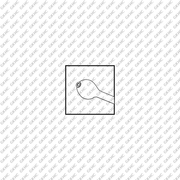 Welsh Cortex Extractor With Flat Olive Tip (GKHC-25932)