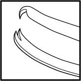  Moody Curved Fixation Forceps (E1553)