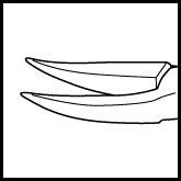 Needle Holder 9mm Curved Fine Long Handle (33-303)