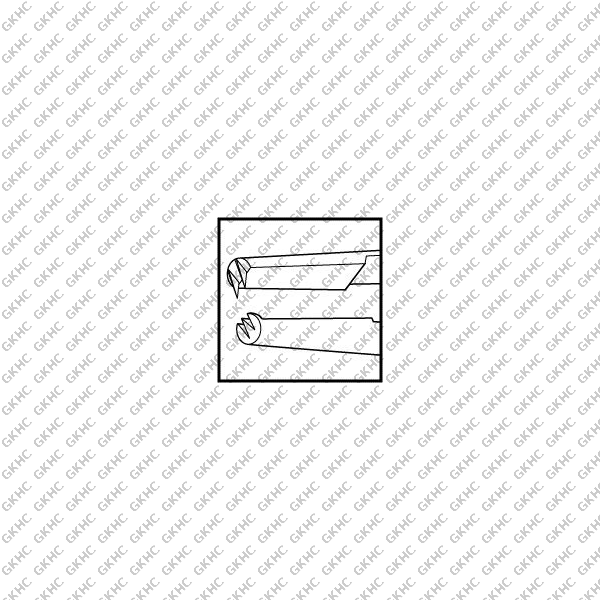 Thorpe Conjunctival Fixation Forceps (GKHC-25750)