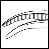 Halstead Curved Hemostatic Mosquito Forceps Non-Magnetic (E6773)